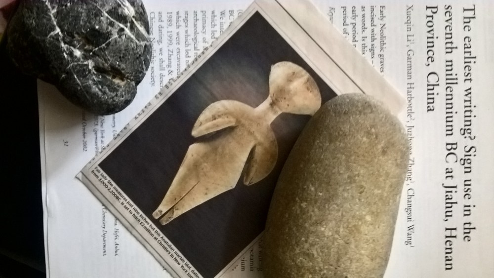 WP_20170501_10_16_44_Pro